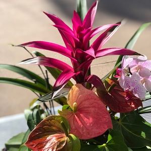 Meet your Posher, Kendra